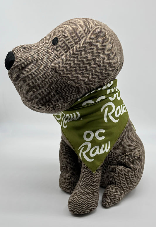 OC Raw Green Logo Bandana